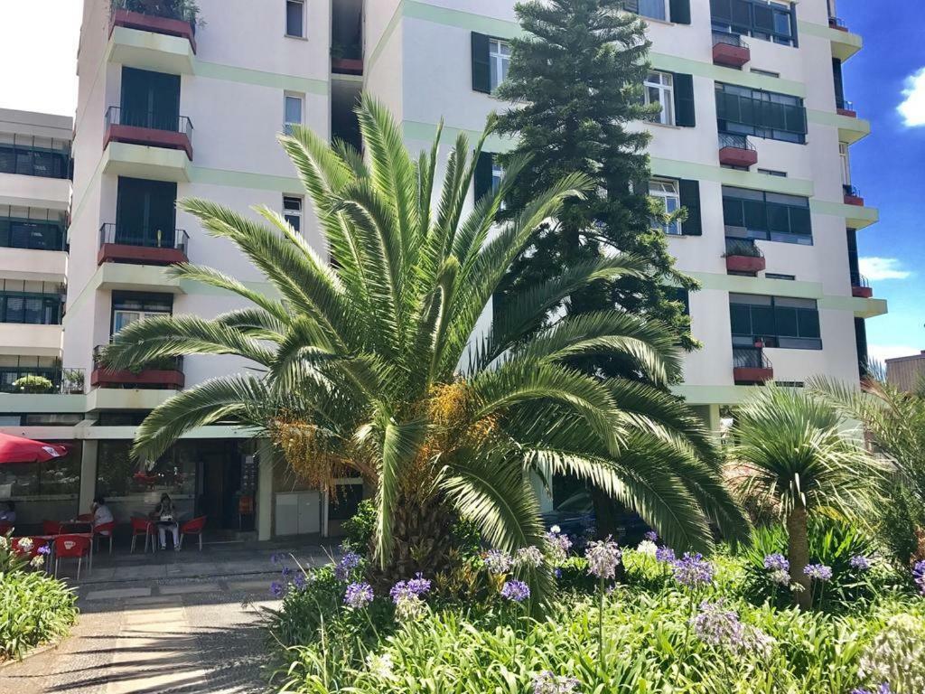Funchal Apartament Marina View With Parking Free Esterno foto